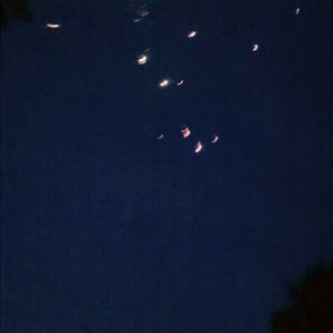 Meet your Posher, Toni